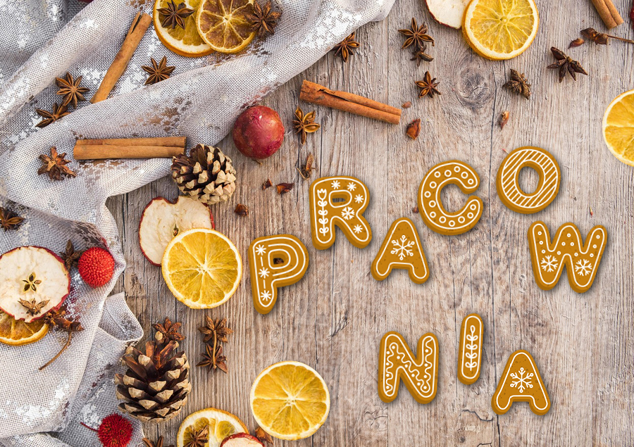 Merry Christmas  and Happy New Year with many thanks  for past and future  partnership